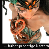 Cara - Nattern